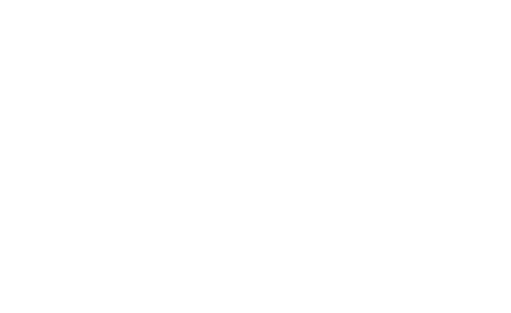 Go Finaet